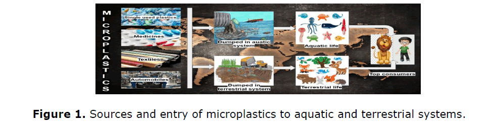 geosciences-microplastics