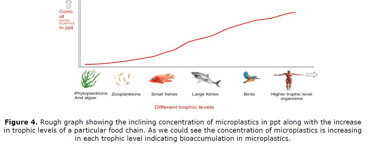 geosciences-microplastics